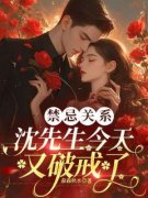 禁忌关系：沈先生今天又破戒了(黎