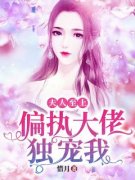 夫人至上：偏执大佬独宠我小说 《