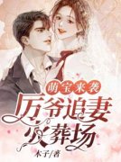 夏依依厉腾小说 萌宝来袭：厉爷追