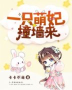 《一只萌妃撞墙来》小说章节列表