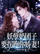 《封总，妖孽奶团子要拐跑你娇妻