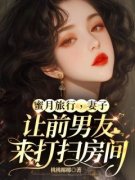《秦锐林安周成》小说全集免费免
