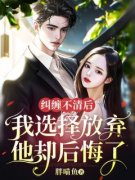 《苏希芷夜清寒》完结版在线阅读