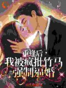 肖莓周易小说 逃离疯批竹马后，我