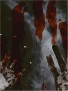 《苏玖韩辰》重生之逃离女子公寓
