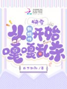 《李思琦甄嬛》小说章节列表精彩