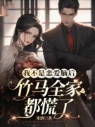《夏桐陆则》小说免费阅读 我不是