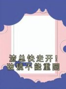 《渣总快走开！破镜不能重圆》小