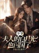 《黎辛谢斯南》大结局免费阅读 《