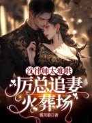 沈律师太难哄，厉总追妻火葬场完