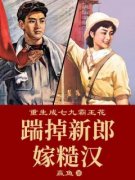重生成七九霸王花：踹掉新郎嫁糙