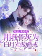 宋默陈溯死后，未婚夫用我骨灰为