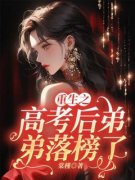 重生之高考后弟弟落榜了陈锦陈一