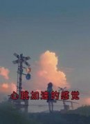 心跳加速的感觉精彩章节小说目录