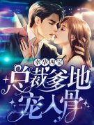 幸孕四宝：总裁爹地宠入骨林初瓷