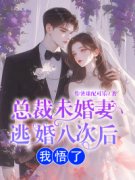 方远林诗暖江树总裁未婚妻逃婚八