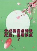 凝儿薛贵妃小说试读_贵妃将我虐待