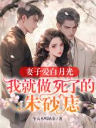 孟瑾秋叶铭精彩章节全文全集精彩