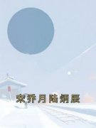 宋乔月陆炳辰全文免费阅读 宋乔月
