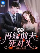 乔云锦傅斯尘离婚再嫁前夫死对头