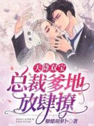 天降双宝，总裁爹地放肆撩方微傅