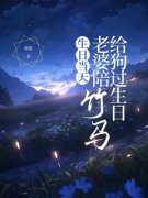 《沈皓南陆静》小说章节目录在线