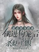 阿宁陆焉周琛《恶毒替身将我锁进