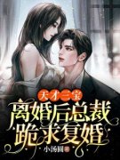 《天才三宝：离婚后总裁跪求复婚