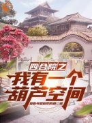 四合院之我有一个葫芦空间小说完