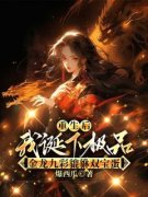 《烛宇麒应风柔风华》小说免费阅
