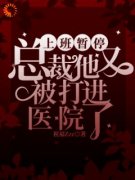 《苏芜沈景淮》完结版免费试读 《