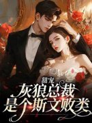 《苏恒沈竟舟》完结版在线试读 《
