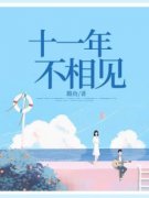 《十一年，不相见》小说全文免费
