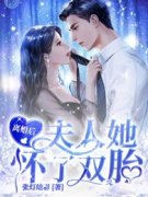《棠晚霍白沉》离婚后，夫人她怀