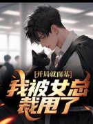 《叶青宋瑾瑶》开局就面基，我被