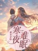 《寒夜难眠》大结局免费阅读 《寒