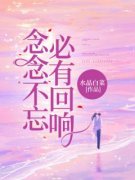 念念不忘，必有回响？小说 念念不