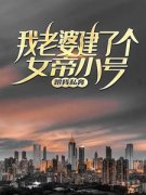 苏辰方楠(我老婆建了个女帝小号跟