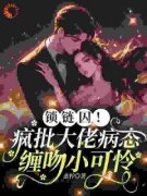 《苏染厉骁寒》小说在线阅读 《苏