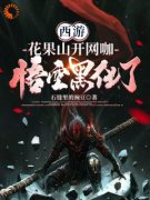 《苏辰孙悟空》小说大结局在线试