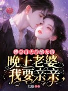 《苏卿傅子晏》小说全文精彩试读