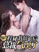 《程意陆宗珣》惊！程秘书辞职后