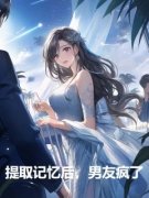 《提取记忆后，男友疯了》小说主