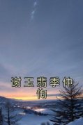 《谢玉翡季仲恂》小说全文精彩试