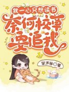 主角是唐糖晏嘉许的小说在哪看 《