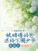 《苏汐月周一航》完结版免费阅读