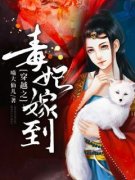 穿越之毒妃嫁到小说全文免费试读