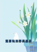 《莲雾陆西野周嘉辰》大结局免费