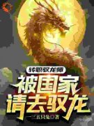 《钟启林北天》小说全文在线试读