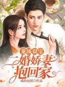 《钟晚易臣湛》小说完整版在线阅